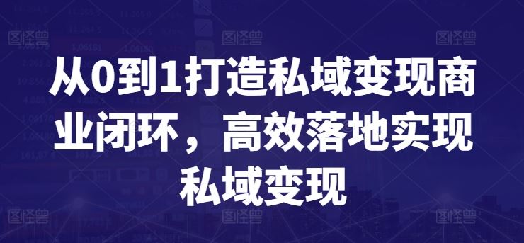 从0到1打造私域变现商业闭环,高效落地实现私域变现-解忧云网络