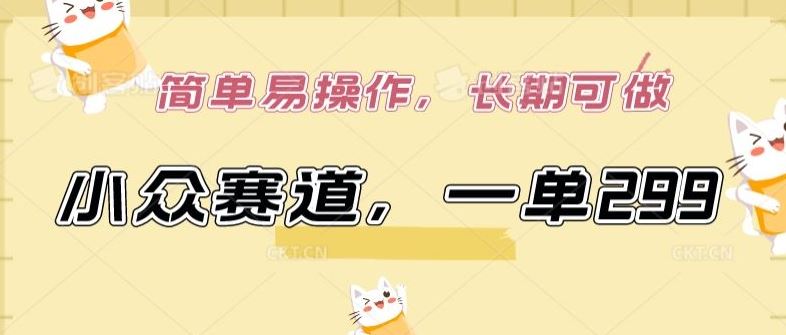 小众赛道,一单299.简单易操作,长期可做【揭秘】-解忧云网络