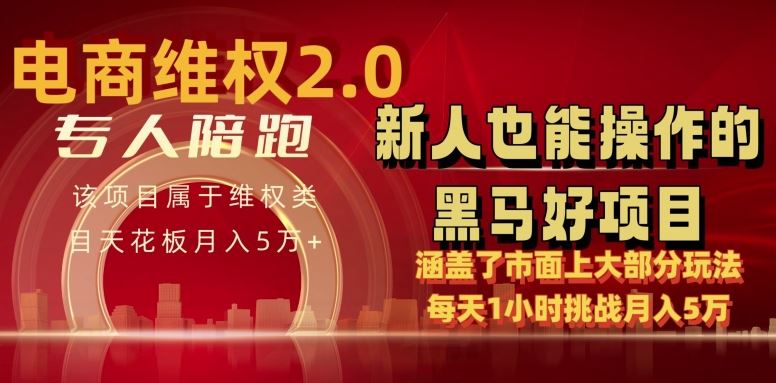电商维权 4.0 如何做到月入 5 万+每天 1 小时新人也能快速上手【仅揭秘】-解忧云网络