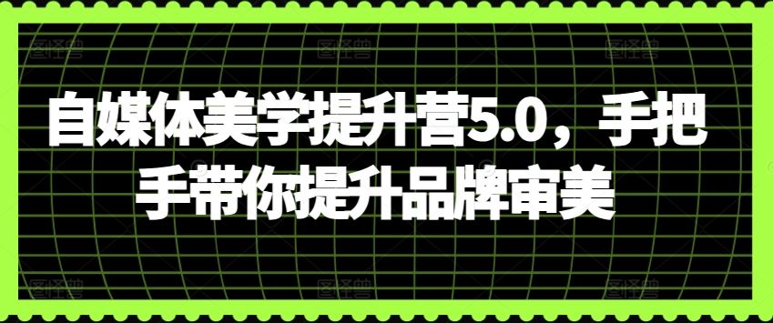 自媒体美学提升营5.0,手把手带你提升品牌审美-解忧云网络