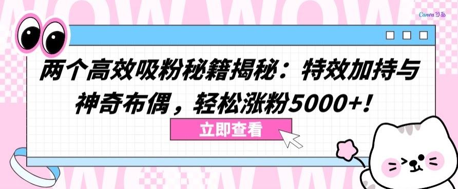 两个高效吸粉秘籍揭秘:特效加持与神奇布偶,轻松涨粉5000+【揭秘】-解忧云网络