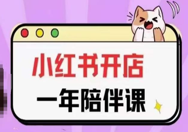 三九小红书开店一年陪伴课(更新),从0到1玩赚小红书开店-解忧云网络