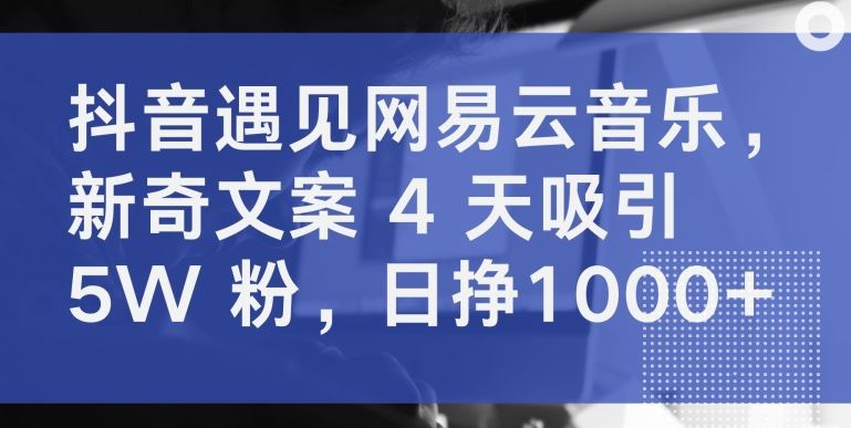 抖音遇见网易云音乐,新奇文案 4 天吸引 5W 粉,日挣1000+【揭秘】-解忧云网络