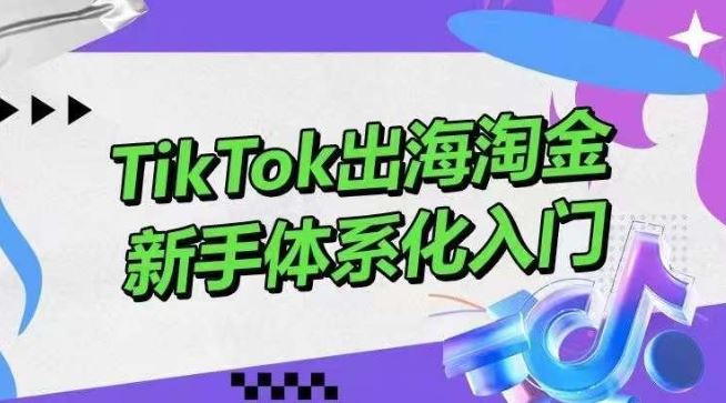TikTok出海淘金,新手体系化入门,零基础快速入门,掌握短视频、直播带货等引流到变现的知识-解忧云网络