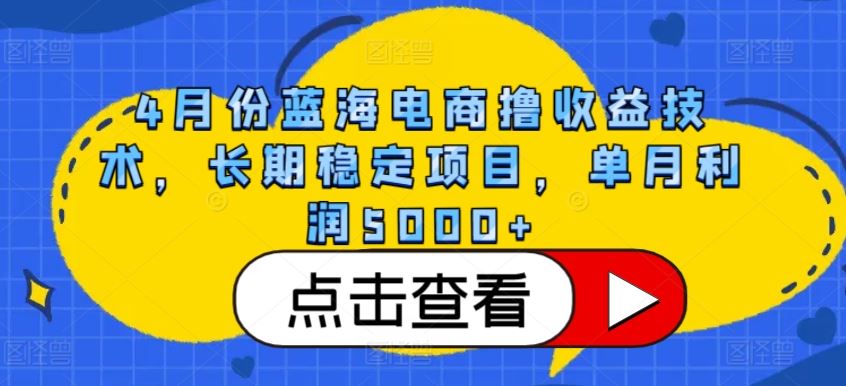 4月份蓝海电商撸收益技术,长期稳定项目,单月利润5000+【揭秘】-解忧云网络