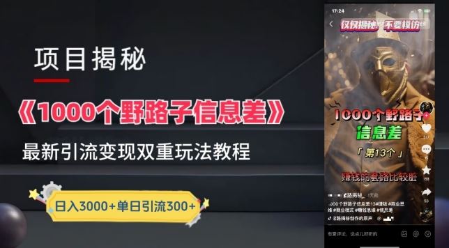 一千个野路子信息差最新玩法教程-变现+引流的玩法具体拆解【揭秘】-解忧云网络