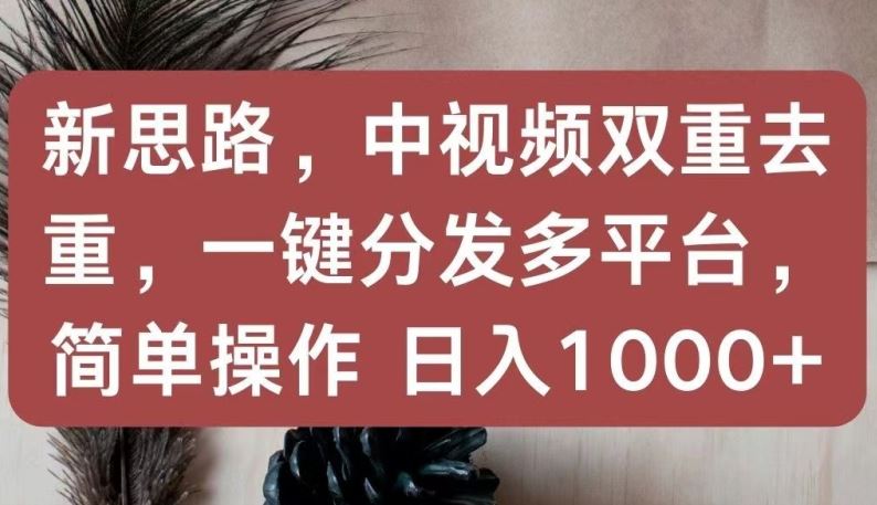 新思路,中视频双重去重,一键分发多平台,简单操作,日入1000+【揭秘】-解忧云网络