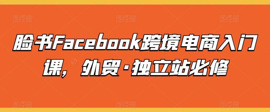 脸书Facebook跨境电商入门课,外贸·独立站必修-解忧云网络