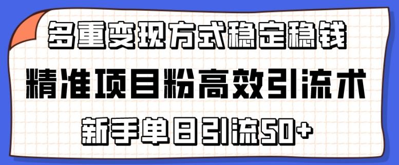 精准项目粉高效引流术,新手单日引流50+,多重变现方式稳定赚钱【揭秘】-解忧云网络