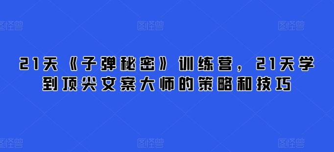 21天《子弹秘密》训练营,21天学到顶尖文案大师的策略和技巧-解忧云网络