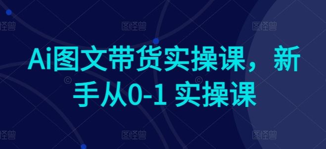 Ai图文带货实操课,新手从0-1 实操课-解忧云网络