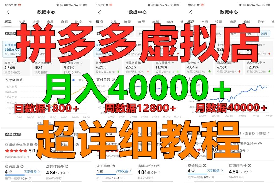 拼多多虚拟电商训练营月入40000+,全网最详细,你做你也行,暴利稳定长久-解忧云网络