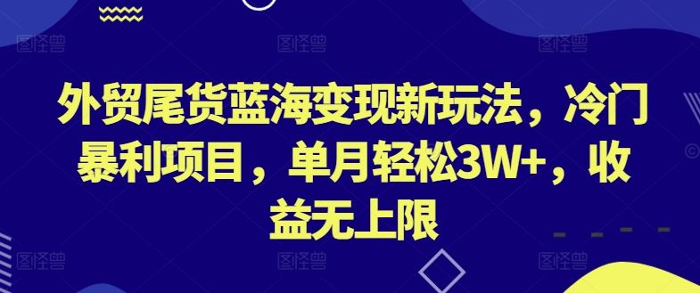 外贸尾货蓝海变现新玩法,冷门暴利项目,单月轻松3W+,收益无上限【揭秘】-解忧云网络