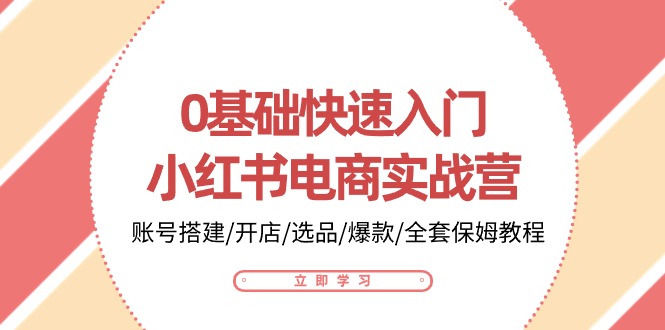 0基础快速入门小红书电商实战营:账号搭建/开店/选品/爆款/全套保姆教程-解忧云网络