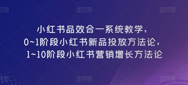 小红书品效合一系统教学,0~1阶段小红书新品投放方法论,1~10阶段小红书营销增长方法论-解忧云网络