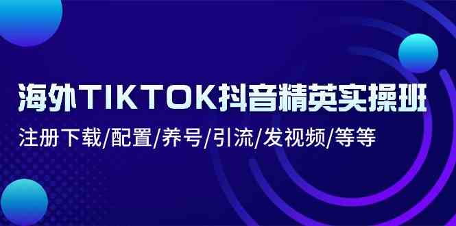 海外TIKTOK抖音精英实操班:注册下载/配置/养号/引流/发视频/等等-解忧云网络