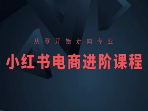 从零开始走向专业,小红书电商进阶课程-解忧云网络