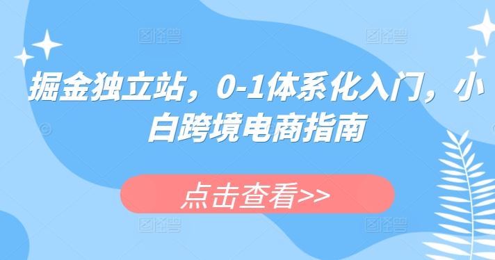 掘金独立站,0-1体系化入门,小白跨境电商指南-解忧云网络