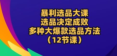 暴利选品大课:选品决定成败,教你多种大爆款选品方法(12节课)-解忧云网络