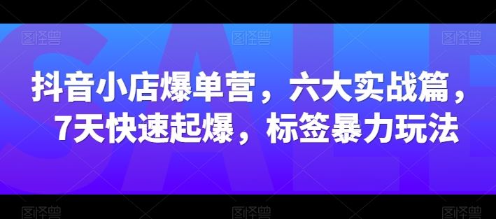 抖音小店爆单营,六大实战篇,7天快速起爆,标签暴力玩法-解忧云网络