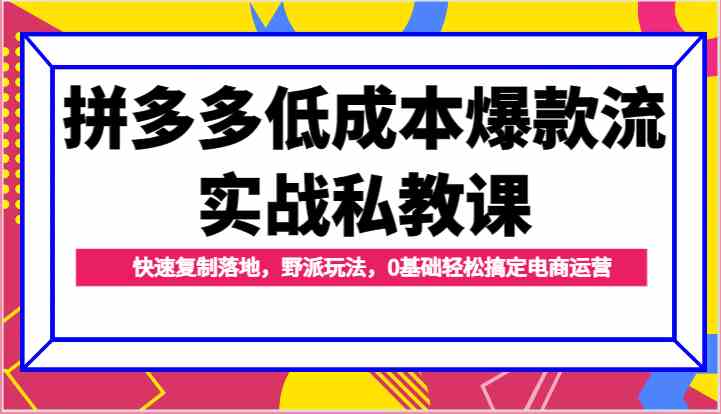 拼多多低成本爆款流实战私教课,快速复制落地,野派玩法,0基础轻松搞定电商运营-解忧云网络