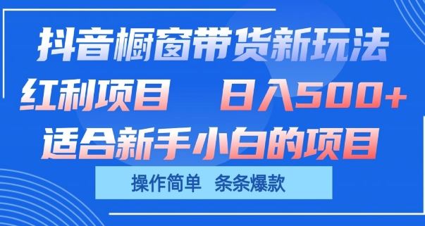 抖音橱窗带货新玩法,单日收益几张,操作简单,条条爆款【揭秘】-解忧云网络