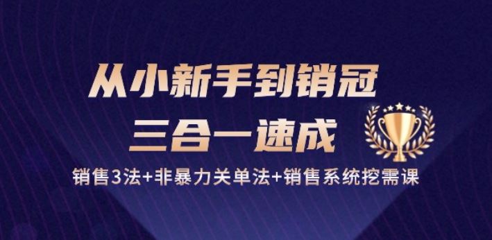 从小新手到销冠 三合一速成:销售3法+非暴力关单法+销售系统挖需课 (27节)-解忧云网络