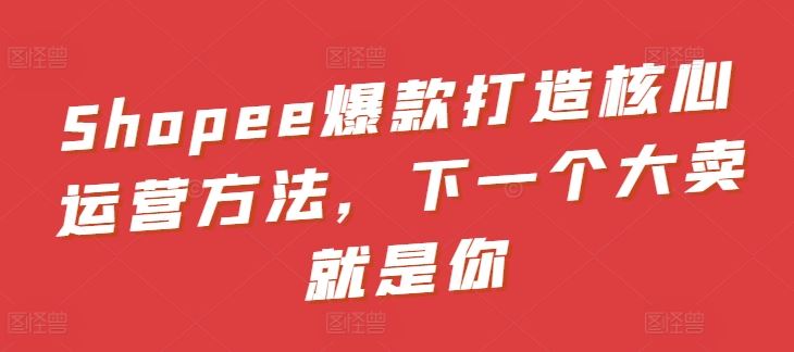 Shopee爆款打造核心运营方法,下一个大卖就是你-解忧云网络