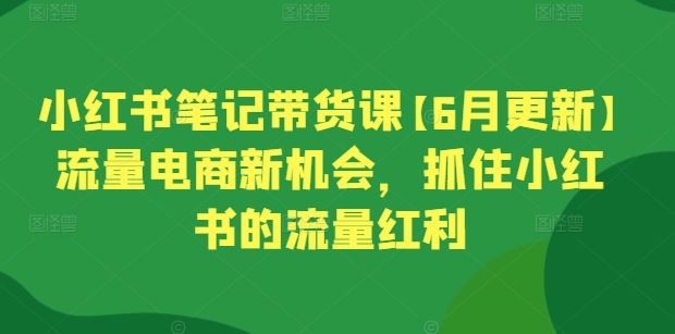 小红书笔记带货课【6月更新】流量电商新机会,抓住小红书的流量红利-解忧云网络