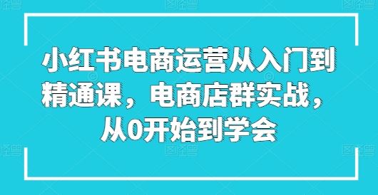 小红书电商运营从入门到精通课,电商店群实战,从0开始到学会-解忧云网络