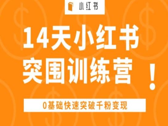 14天小红书突围训练营 ,0基础快速突破千粉变现-解忧云网络