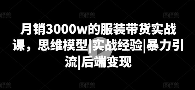 月销3000w的服装带货实战课,思维模型|实战经验|暴力引流|后端变现-解忧云网络