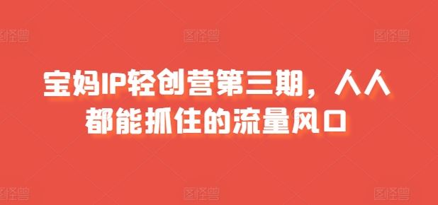 宝妈IP轻创营第三期,人人都能抓住的流量风口-解忧云网络