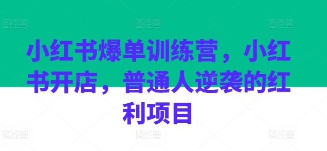 小红书爆单训练营,小红书开店,普通人逆袭的红利项目-解忧云网络