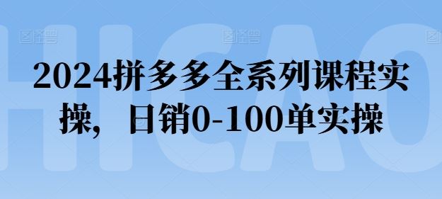 2024拼多多全系列课程实操,日销0-100单实操【必看】-解忧云网络