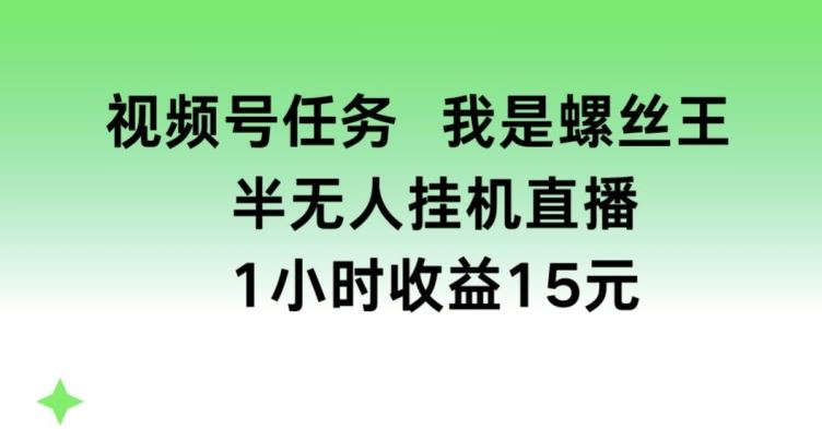 视频号任务,我是螺丝王, 半无人挂机1小时收益15元【揭秘】-解忧云网络