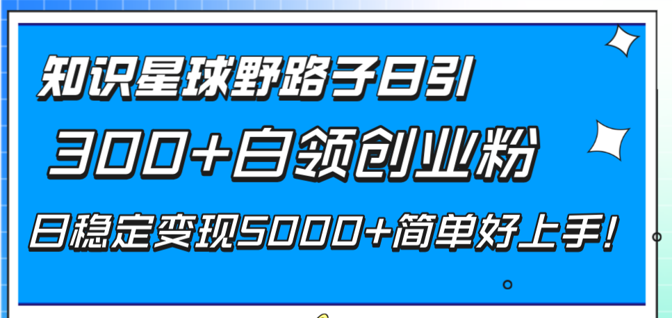 (8315期)知识星球野路子日引300+白领创业粉,日稳定变现5000+简单好上手!-解忧云网络