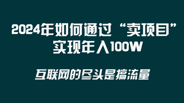 (8382期) 2024年如何通过“卖项目”实现年入100W-解忧云网络