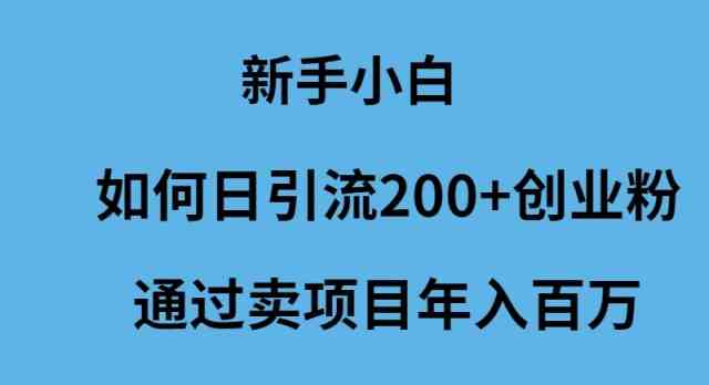 (9668期)新手小白如何日引流200+创业粉通过卖项目年入百万-解忧云网络