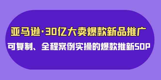 (9944期)亚马逊30亿·大卖爆款新品推广,可复制、全程案例实操的爆款推新SOP-解忧云网络