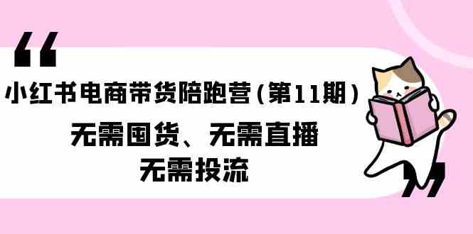 (9996期)小红书电商带货陪跑营(第11期)无需囤货、无需直播、无需投流(送往期10套)-解忧云网络
