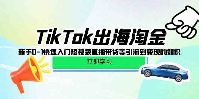 (10035期)TikTok-出海淘金,新手0-1快速入门短视频直播带货等引流到变现的知识-解忧云网络