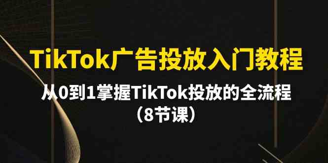 (10085期)TikTok广告投放入门教程,从0到1掌握TikTok投放的全流程(8节课)-解忧云网络