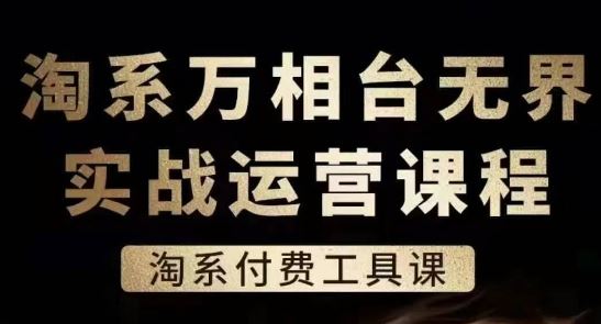 淘系万相台无界实战运营课,淘系付费工具课-解忧云网络