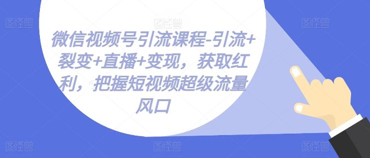 微信视频号引流课程-引流+裂变+直播+变现,获取红利,把握短视频超级流量风口-解忧云网络