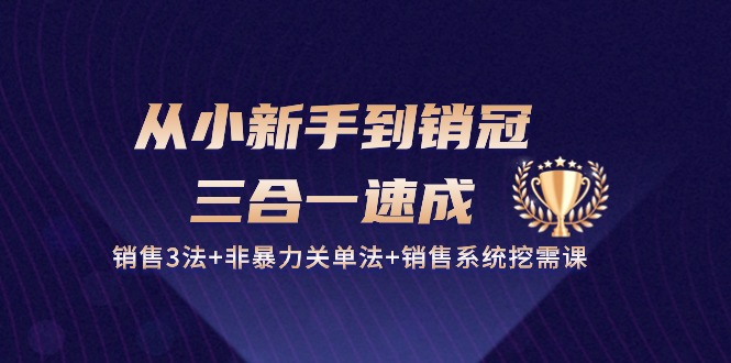 (10799期)从小新手到销冠 三合一速成:销售3法+非暴力关单法+销售系统挖需课 (27节)-解忧云网络
