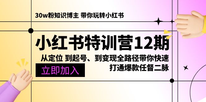 (10666期)小红书特训营12期:从定位 到起号、到变现全路径带你快速打通爆款任督二脉-解忧云网络