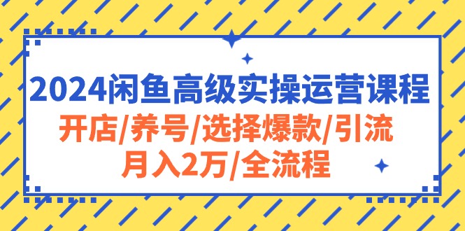(10711期)2024闲鱼高级实操运营课程:开店/养号/选择爆款/引流/月入2万/全流程-解忧云网络