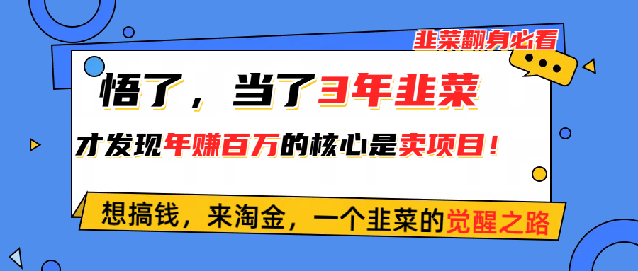 (10759期)悟了,当了3年韭菜,才发现网赚圈年赚100万的核心是卖项目,含泪分享!-解忧云网络
