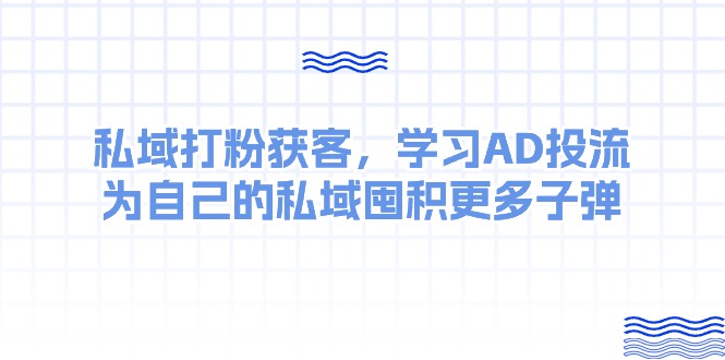(10728期)某收费课:私域打粉获客,学习AD投流,为自己的私域囤积更多子弹-解忧云网络